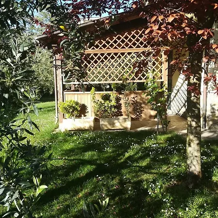 Il Giardino Degli Ulivi Rapolano Terme