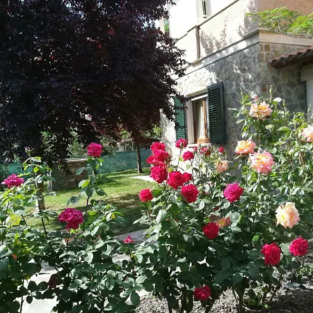 Il Giardino Degli Ulivi Apartment