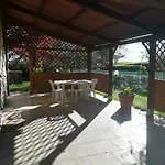 Il Giardino Degli Ulivi *