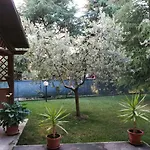 Il Giardino Degli Ulivi Rapolano Terme