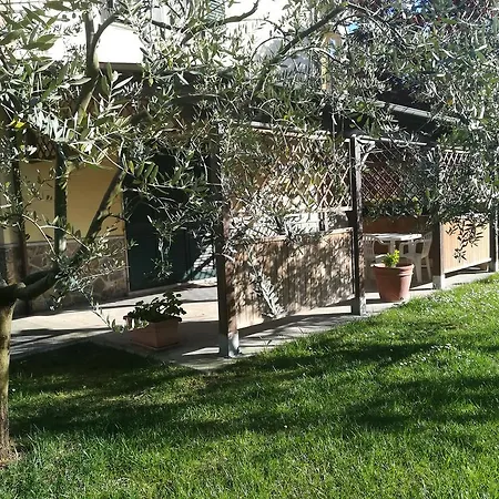 Il Giardino Degli Ulivi * Rapolano Terme