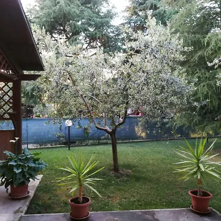 Il Giardino Degli Ulivi Rapolano Terme
